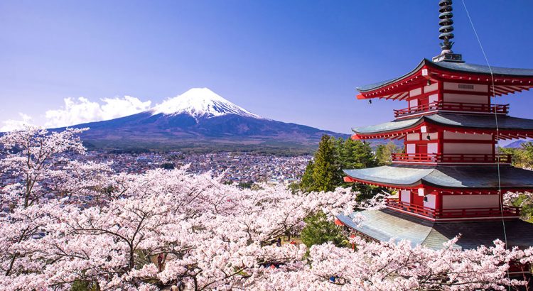 places to visit in southern japan