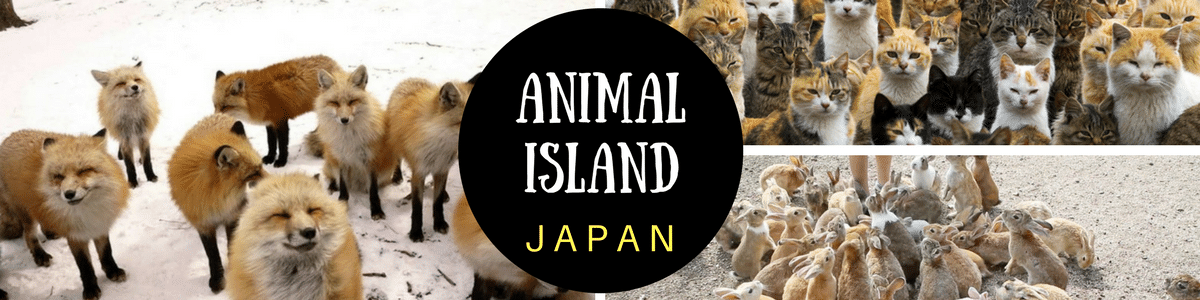 Animal Places in Japan - Japan Ryan